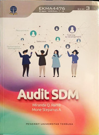 Image of Audit SDM