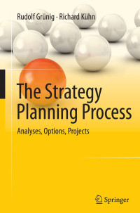 Image of The Strategy Planning Process : Analyses, Options, Projects